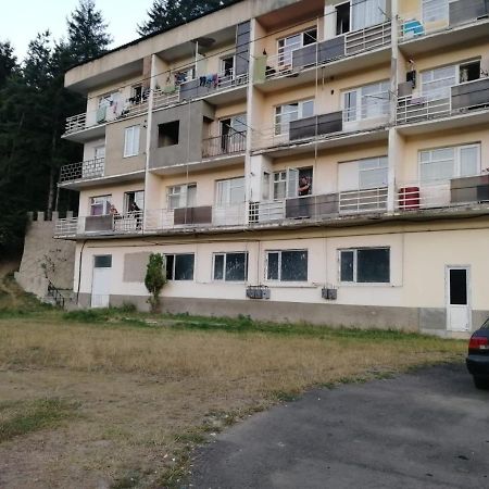 Alena'S Flat Borjomi Exterior foto