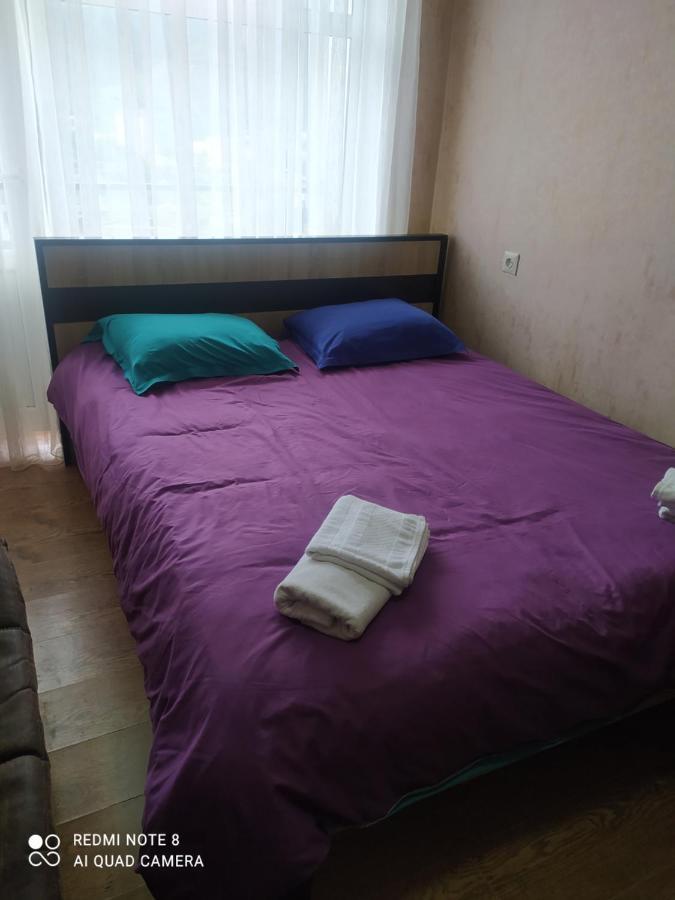 Alena'S Flat Borjomi Exterior foto