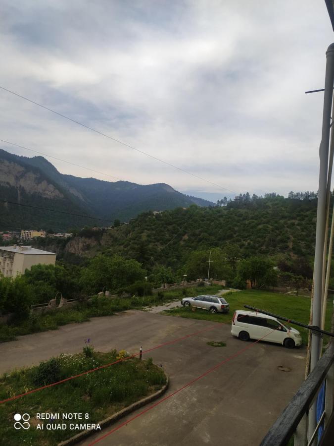 Alena'S Flat Borjomi Exterior foto